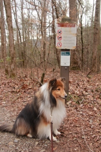 What do you mean I can't go down this trail?