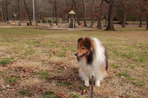 What are those kids doing over there mama?