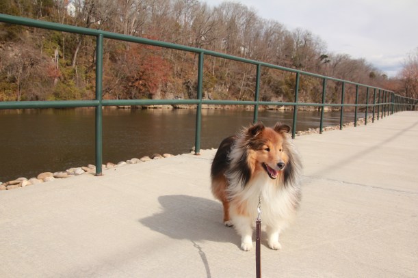 Stop with the pictures mama!