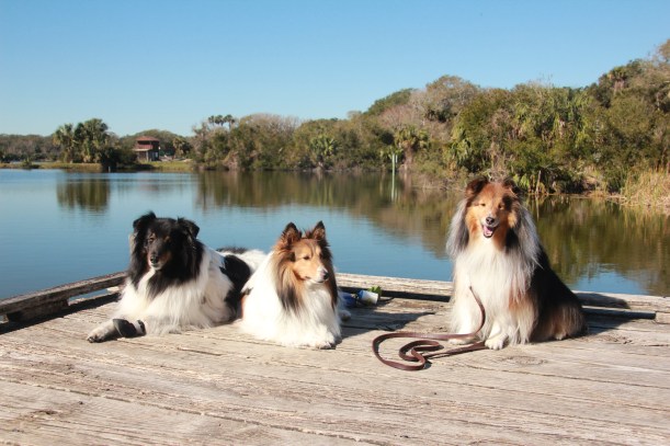 It looks like summer around here mama!