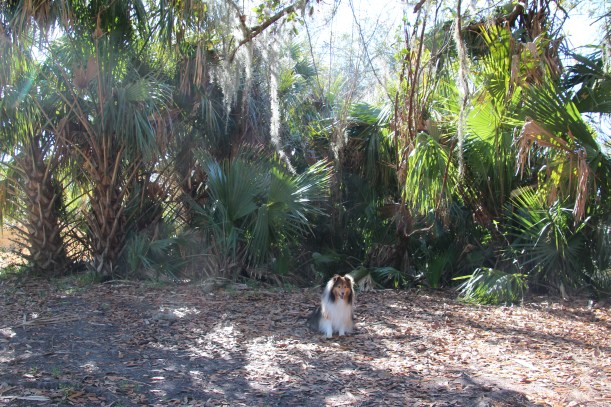 It's like a jungle here!