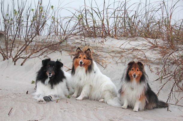 The three of us tolerated more photos.