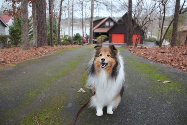 This is my lake house mama!