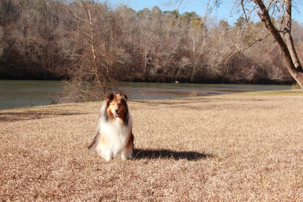 Pretty river mama, but boring if you're me.