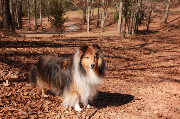 Keebler Park in Dadeville