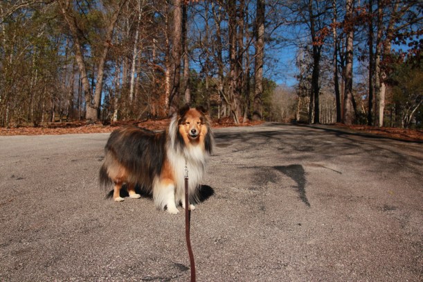 Let's go exploring mama!