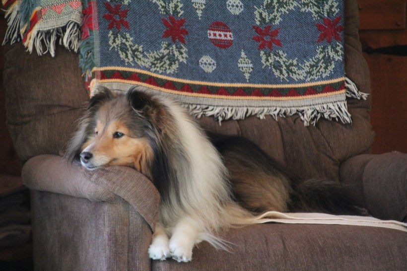 Relaxing in grandma's chair.