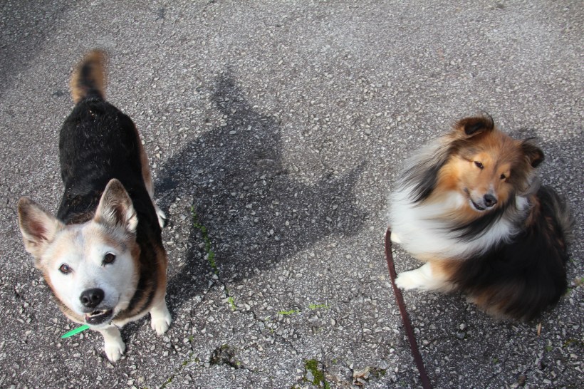 I'm not sitting any closer to her mama!