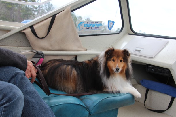 Relaxed on my yacht.