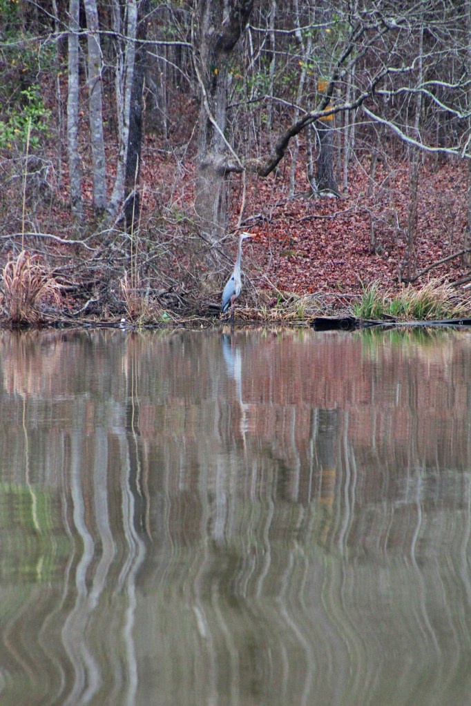 I'll just wait over here while you go by.
