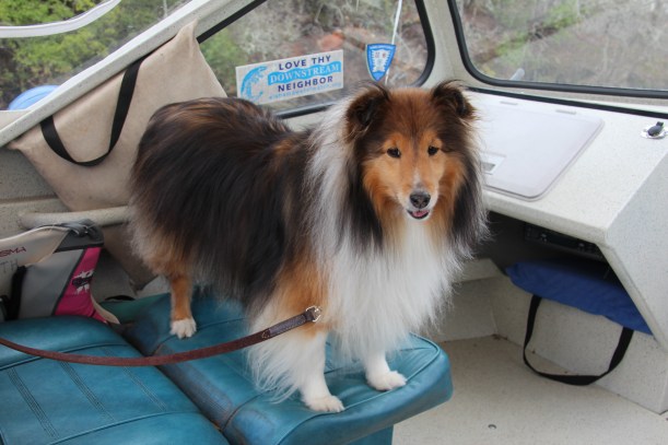 This is my bench, but I'll share.