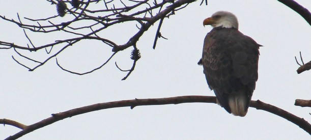 What are you people looking at?