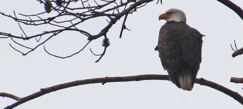 What are you people looking at?
