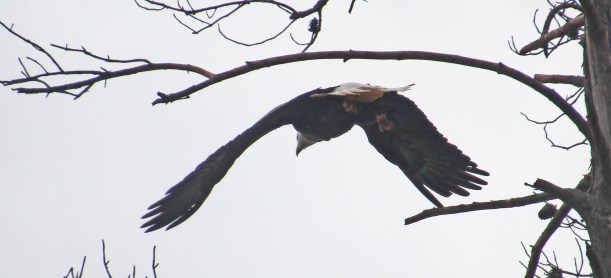 You're bugging me people, I"m outta here!