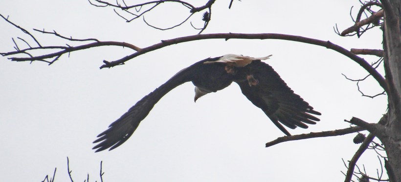 You're bugging me people, I"m outta here!