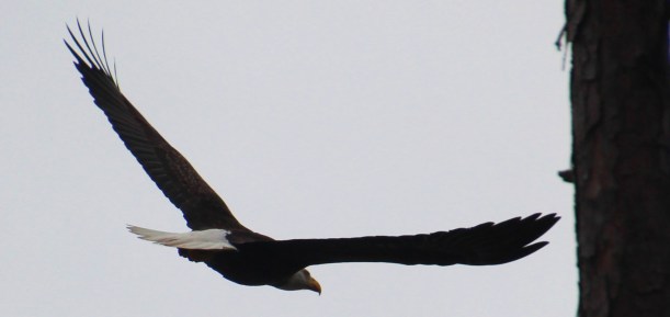 Bet you guys wish you could fly like this!