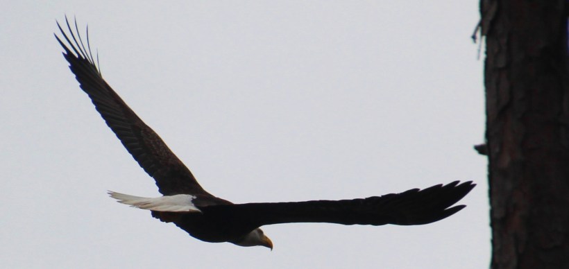 Bet you guys wish you could fly like this!