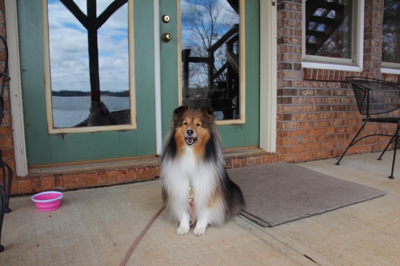 At my uncle's house.