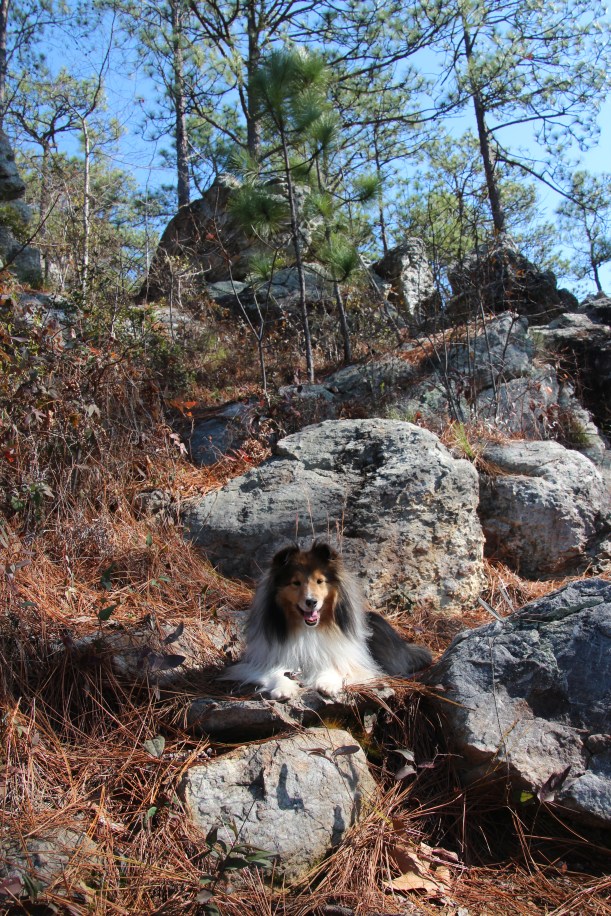 Good spot for a photo shoot...and a rest!