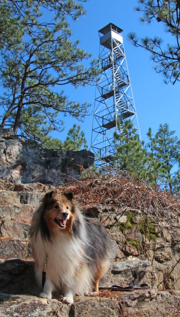 I'll wait for you down here mama!