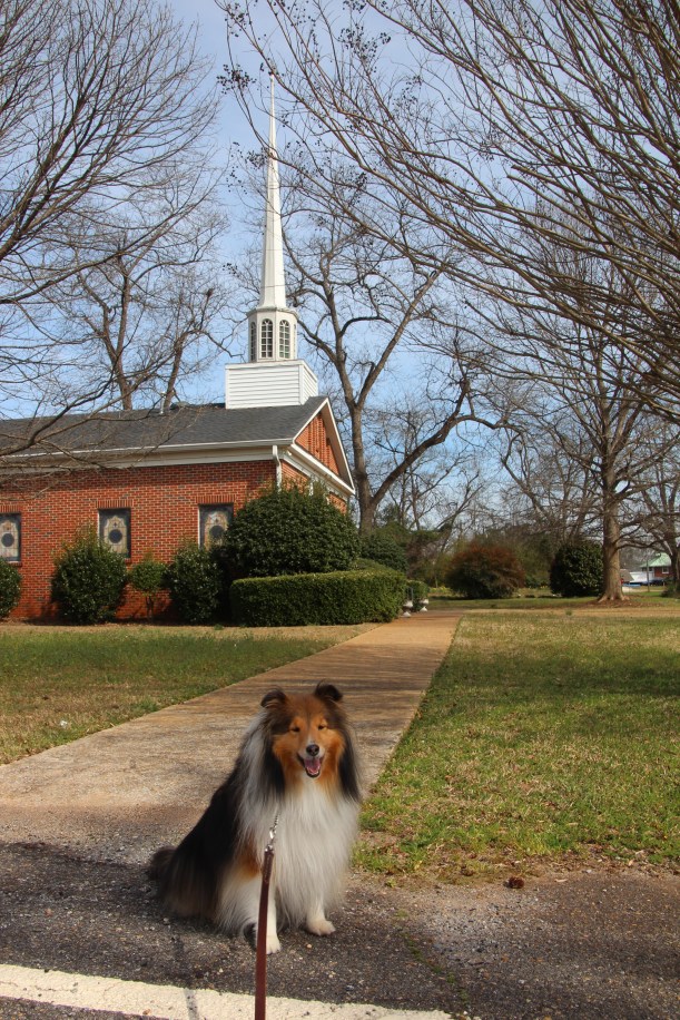 Mama says this is grandma and grandpa's church.