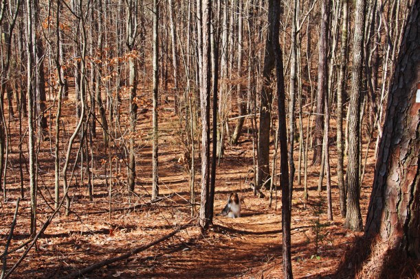 Come on mama! Let's go see what's over here!