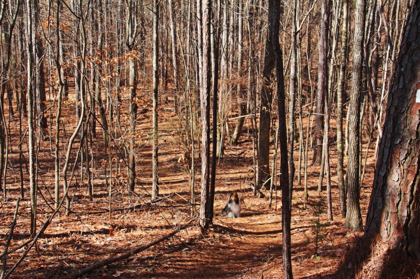 Come on mama! Let's go see what's over here!