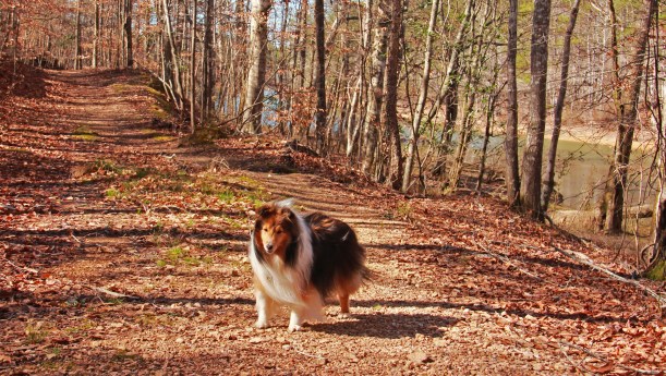 Let's go explore that shoreline mama!