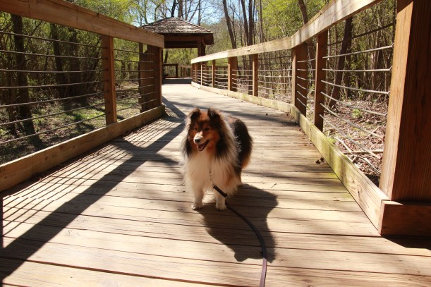 Come on mama, this looks like an AWESOME park!