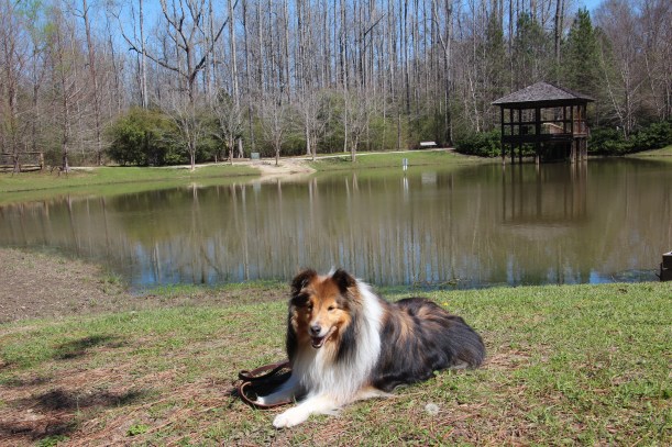 Isn't this a pretty lake mama?