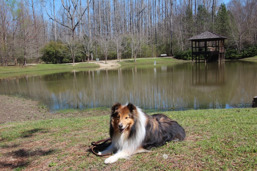 Isn't this a pretty lake mama?