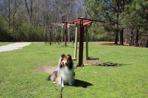 These look fun mama!